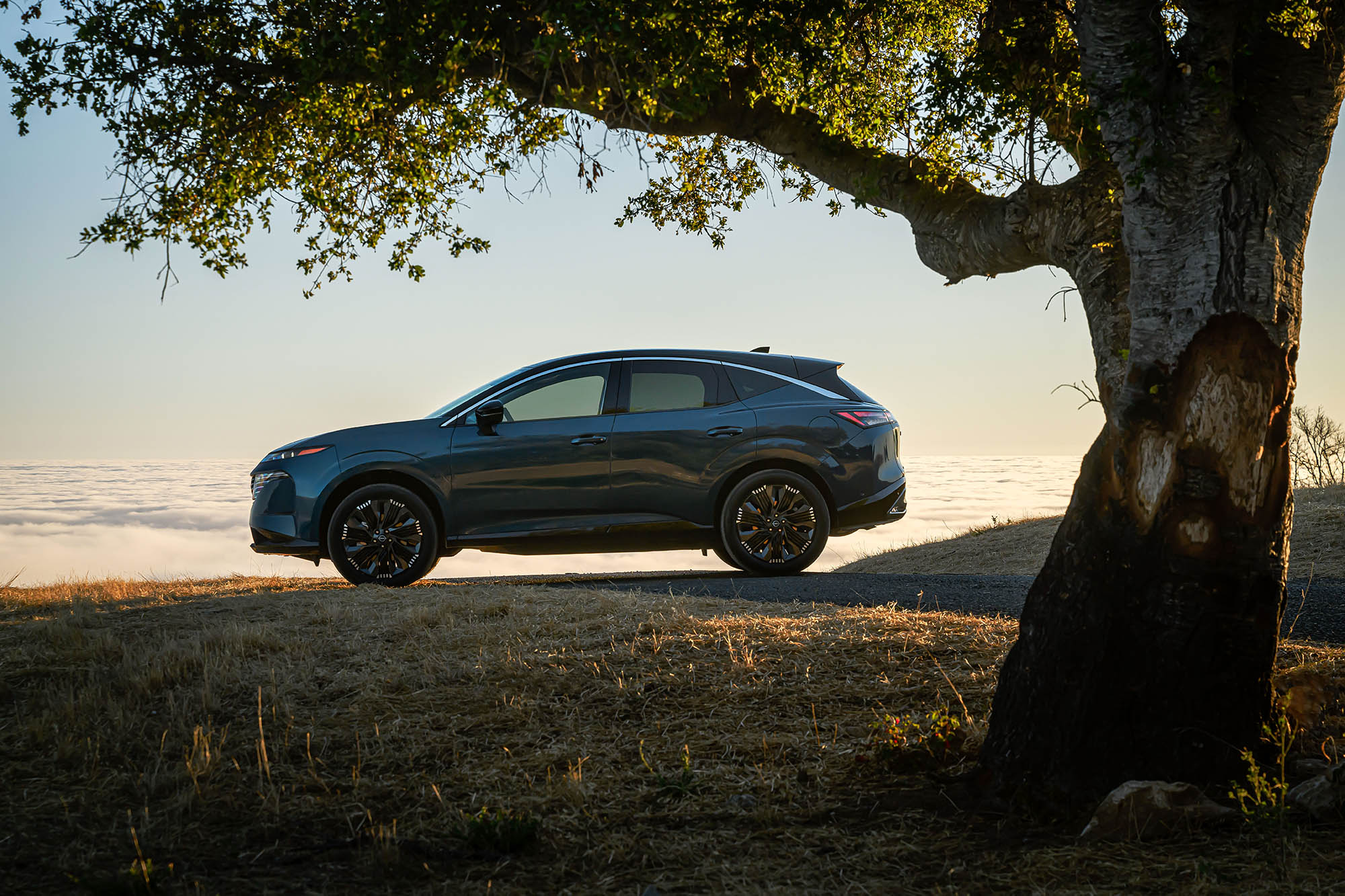 2025 Nissan Murano in blue parked by a tree above the clouds