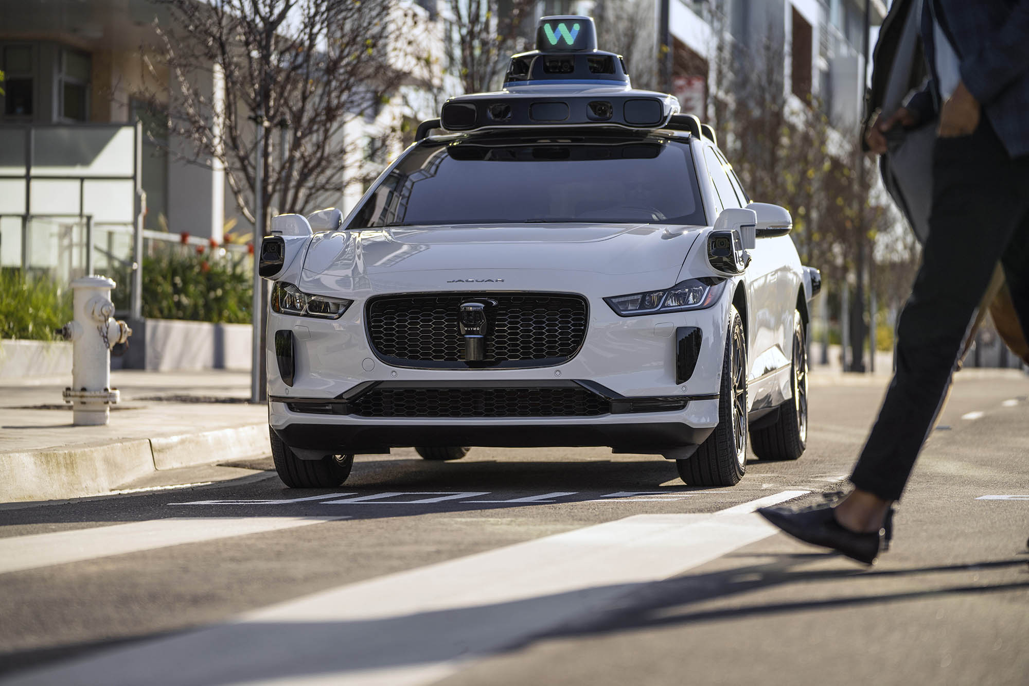 A Waymo taxi stopped at a crosswalk