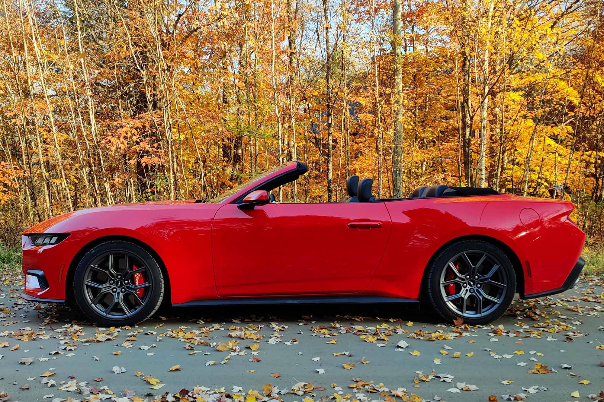 A side view of a 2024 Ford Mustang Convertible in front of trees.