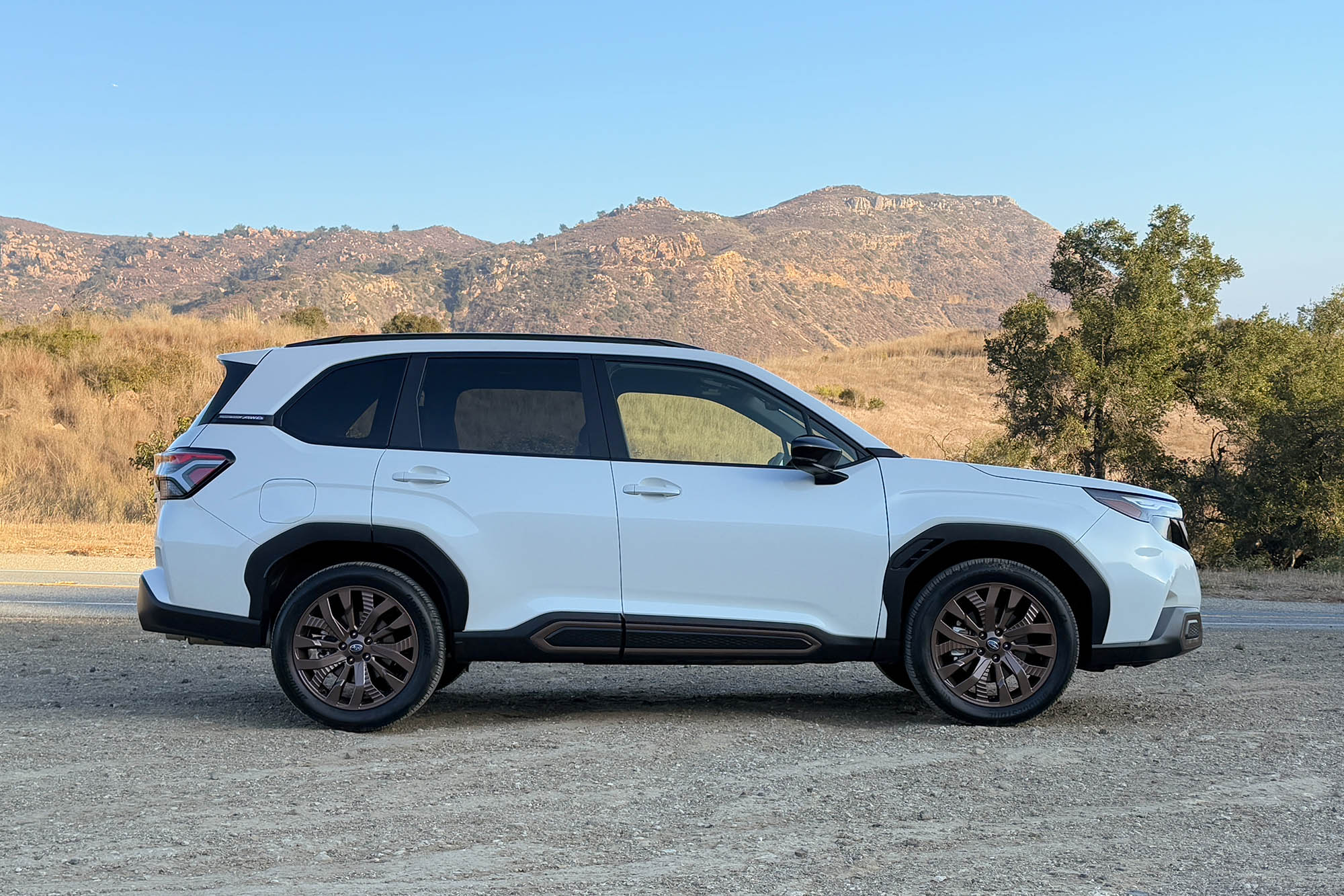 2025 Subaru Forester Sport in Crystal White Pearl with trees and mountains in the background.