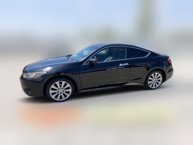 2010 Honda Accord EX-L