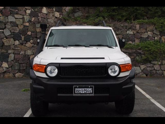 2010 Toyota FJ Cruiser 