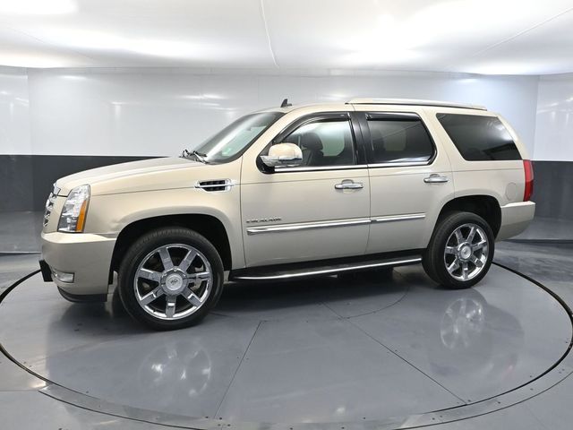 2011 Cadillac Escalade Luxury