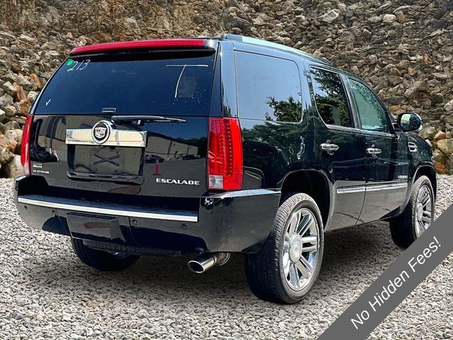 2011 Cadillac Escalade Platinum Edition