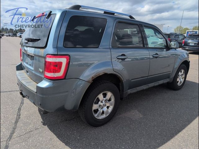 2011 Ford Escape Limited