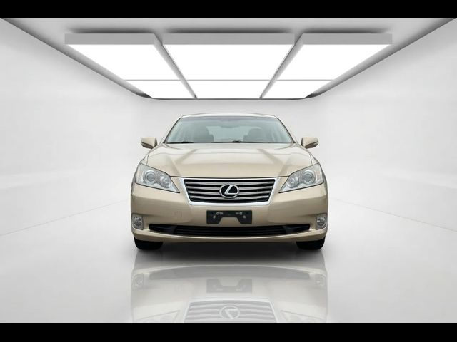 2011 Lexus ES 350