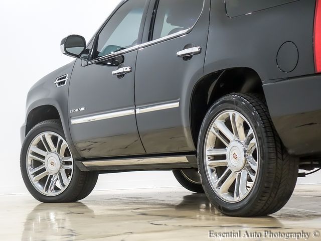 2013 Cadillac Escalade Platinum Edition