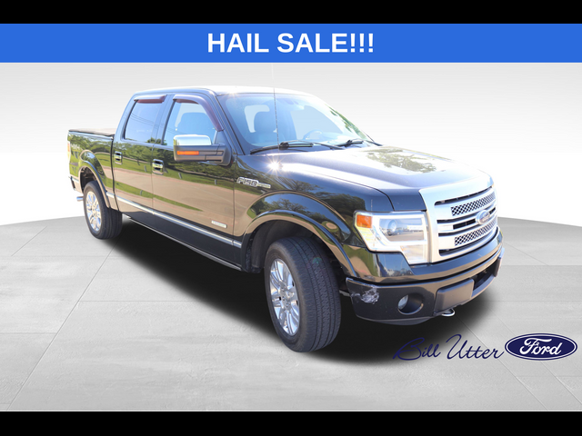 2013 Ford F-150 Platinum