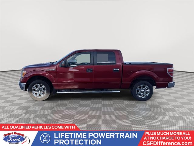 2013 Ford F-150 XLT