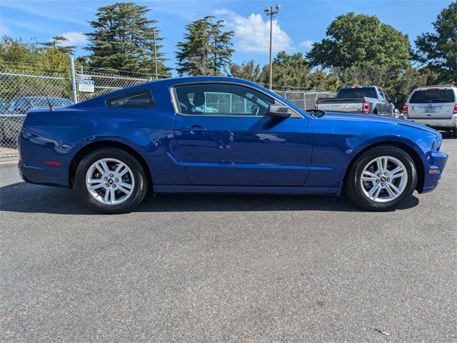 2013 Ford Mustang V6