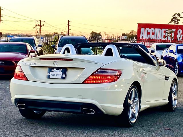 2013 Mercedes-Benz SLK 250