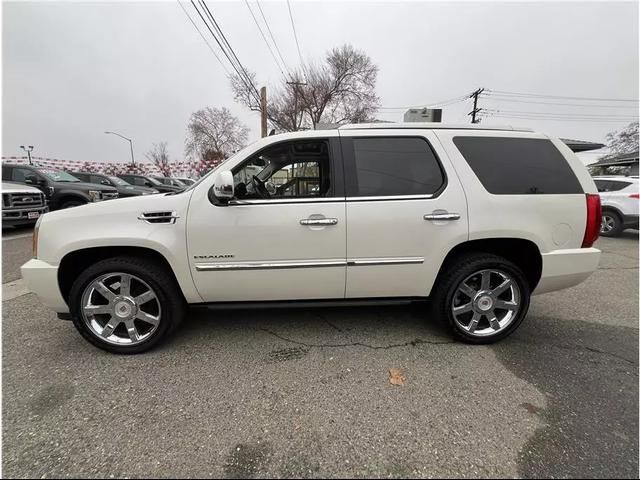 2014 Cadillac Escalade Luxury