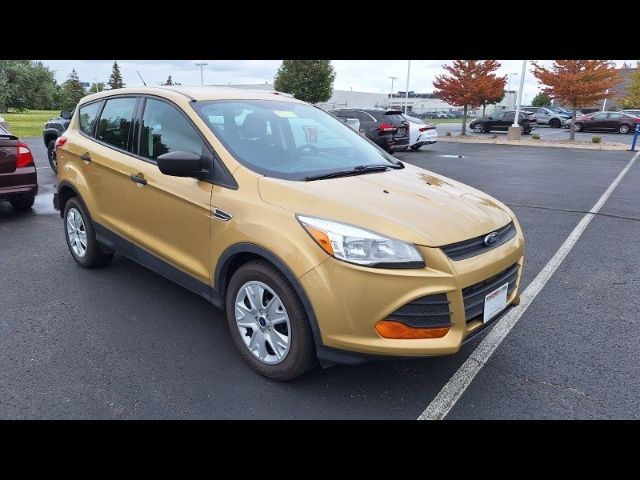 2014 Ford Escape S