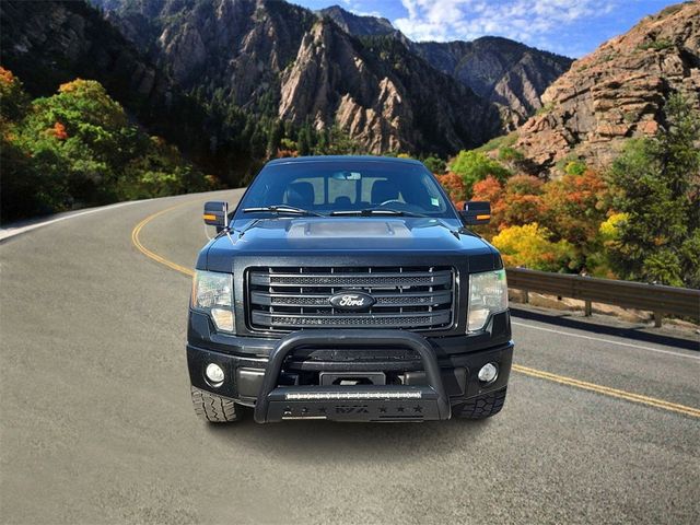 2014 Ford F-150 FX4