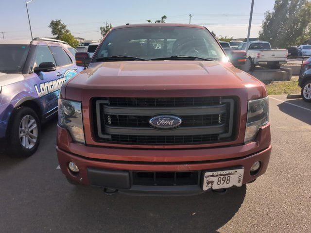 2014 Ford F-150 FX4