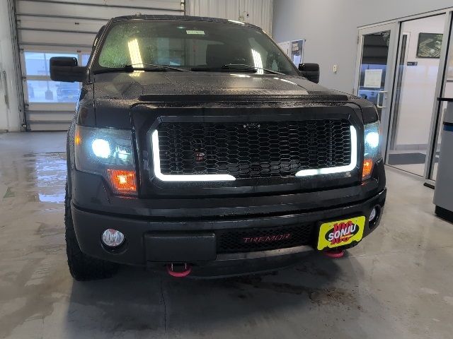 2014 Ford F-150 FX4 Tremor