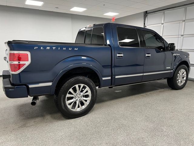 2014 Ford F-150 Platinum