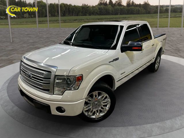 2014 Ford F-150 Platinum