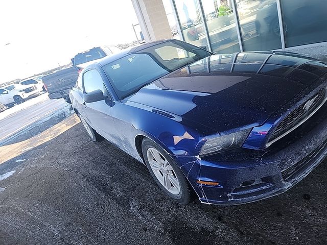 2014 Ford Mustang V6