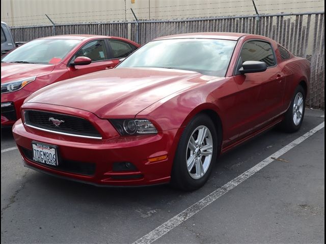 2014 Ford Mustang V6