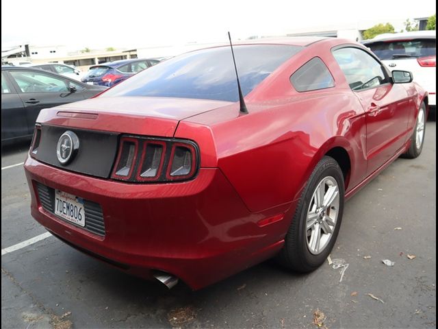 2014 Ford Mustang V6