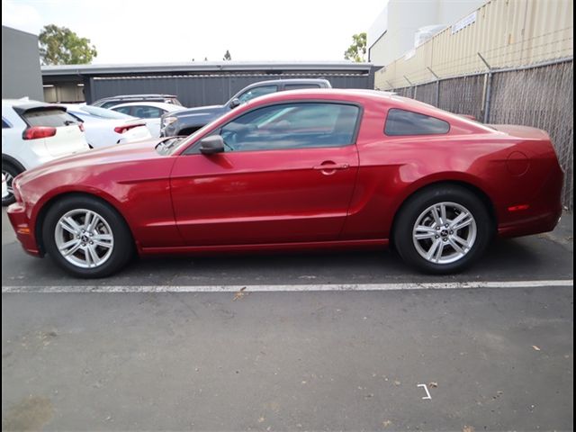 2014 Ford Mustang V6