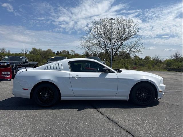 2014 Ford Mustang V6