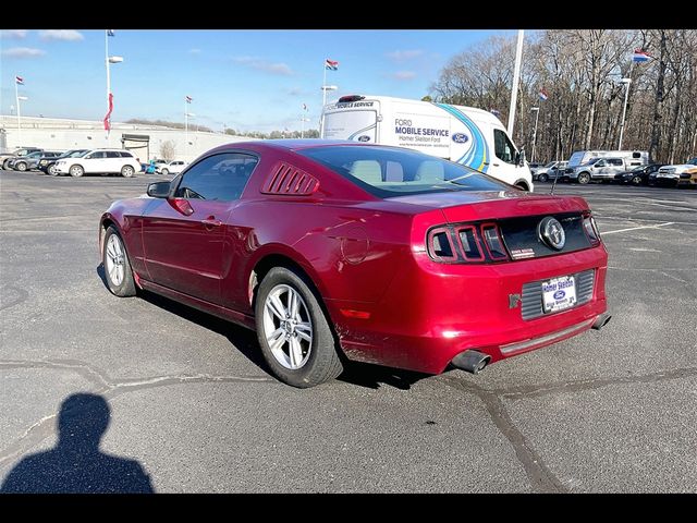 2014 Ford Mustang V6