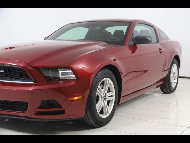 2014 Ford Mustang V6