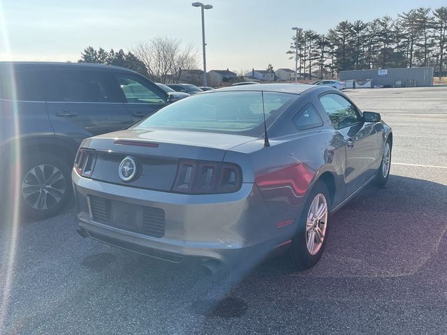 2014 Ford Mustang V6