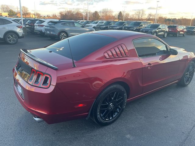 2014 Ford Mustang V6