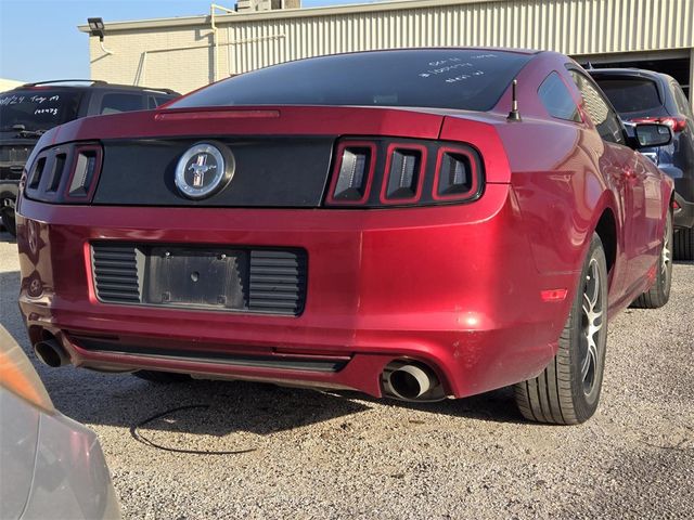 2014 Ford Mustang V6