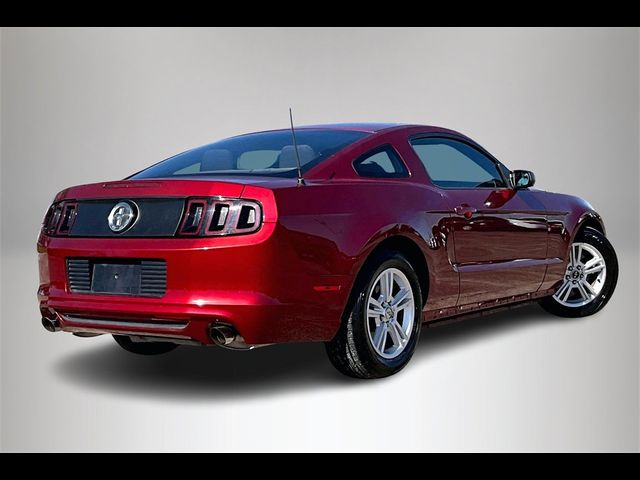 2014 Ford Mustang V6