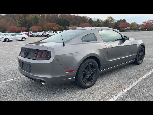 2014 Ford Mustang V6