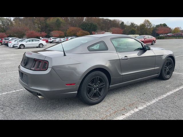 2014 Ford Mustang V6