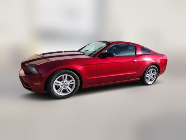 2014 Ford Mustang V6