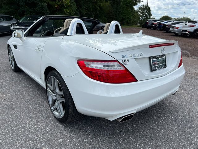 2014 Mercedes-Benz SLK 250