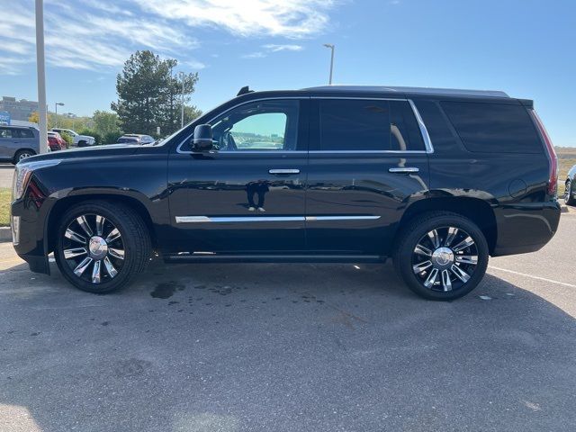 2015 Cadillac Escalade Platinum