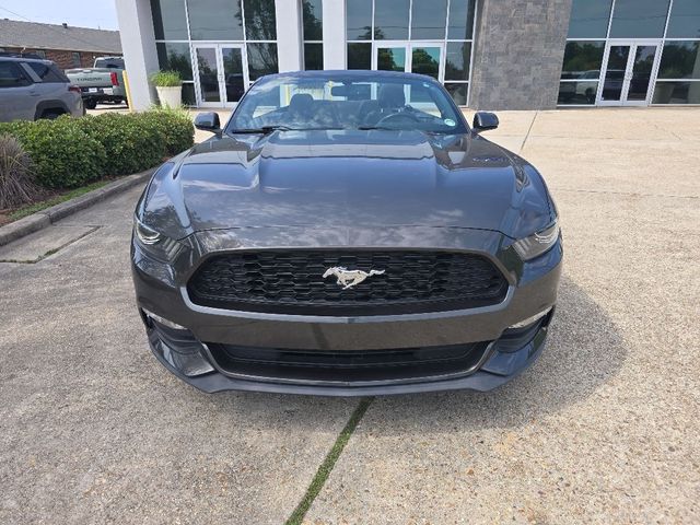 2015 Ford Mustang V6