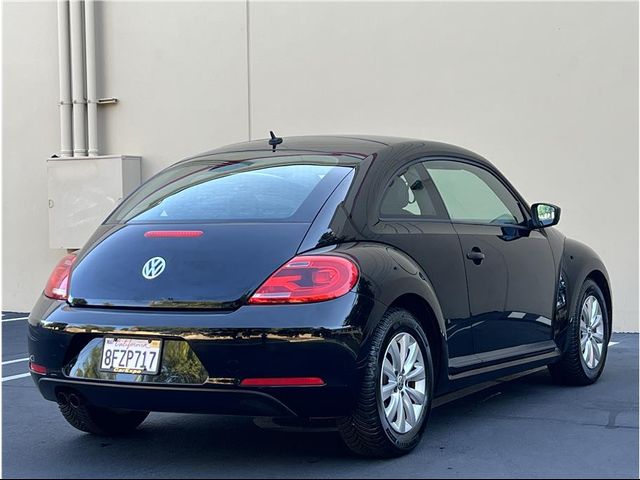 2015 Volkswagen Beetle 1.8T Fleet