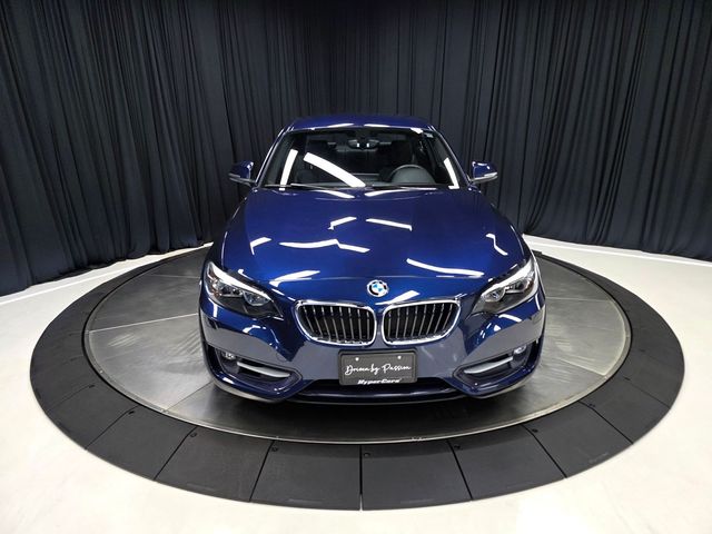 2016 BMW 2 Series 228i xDrive