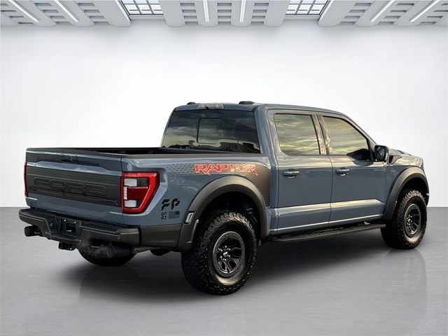 2017 Ford F-150 Raptor