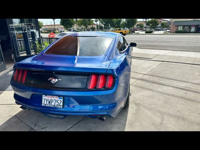 2017 Ford Mustang V6