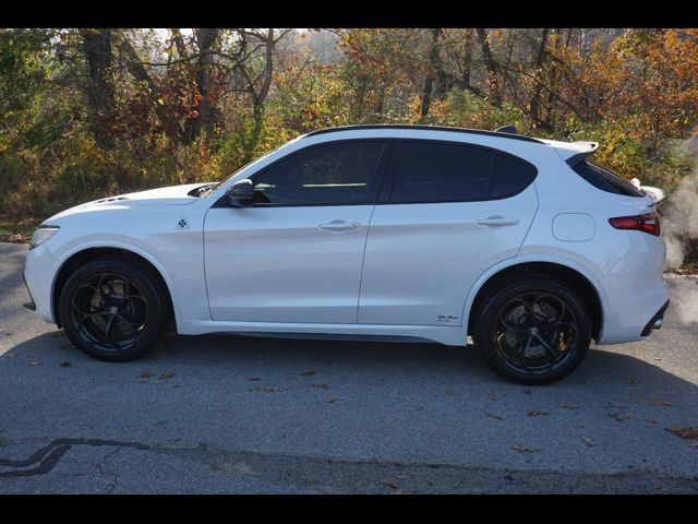 2018 Alfa Romeo Stelvio Quadrifoglio