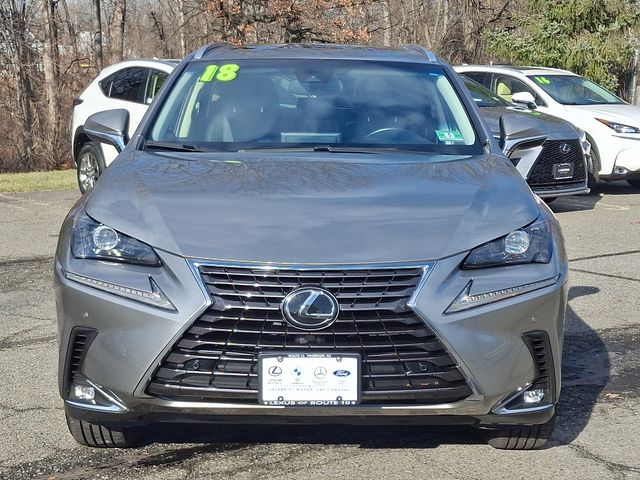 2018 Lexus NX 300