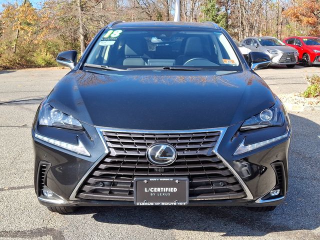 2018 Lexus NX 300