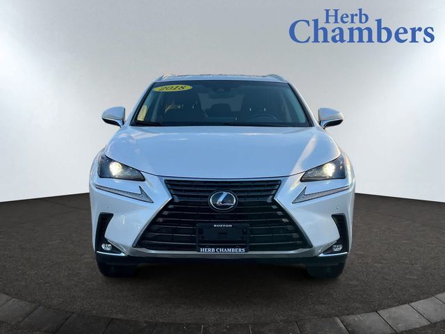 2018 Lexus NX 300h