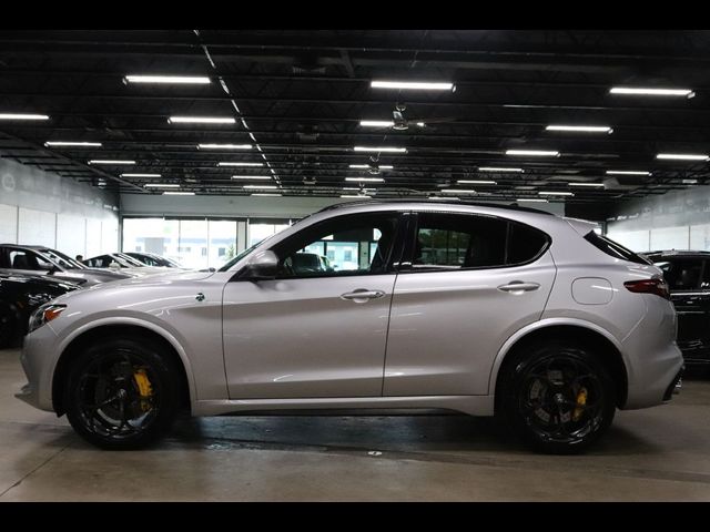 2019 Alfa Romeo Stelvio Quadrifoglio