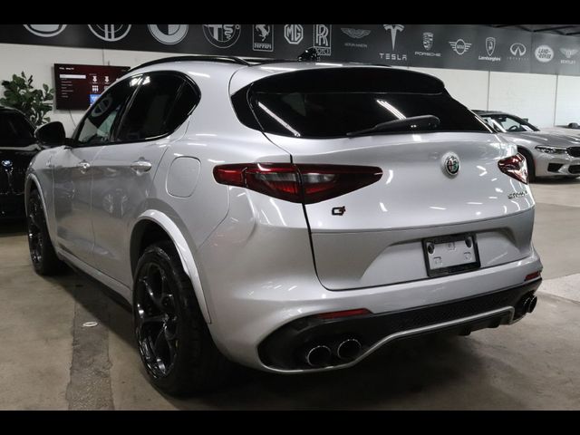 2019 Alfa Romeo Stelvio Quadrifoglio