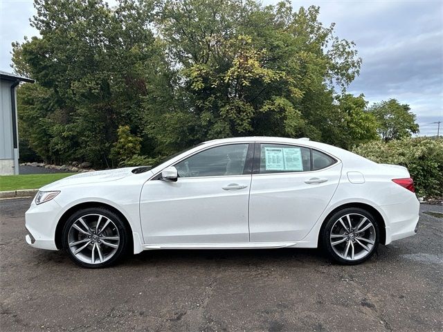 2019 Acura TLX Advance